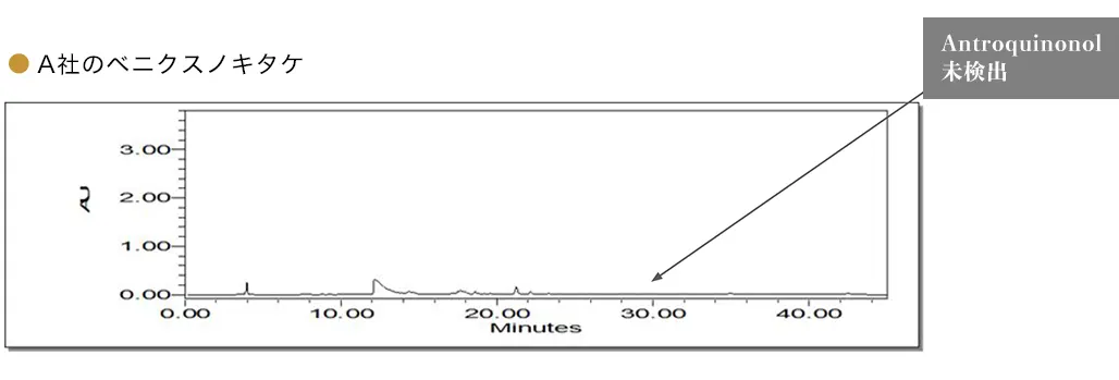 A社のベニクスノキタケ